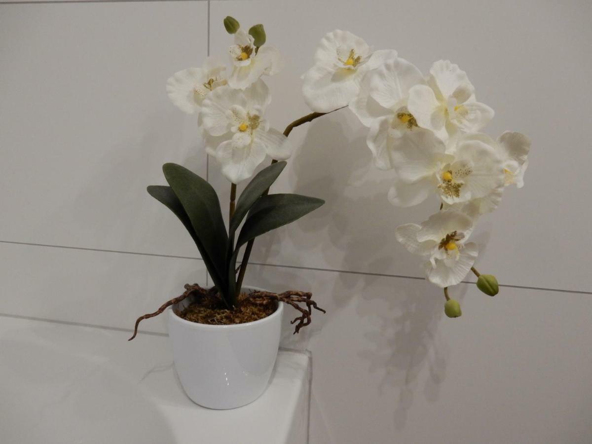Ferienwohnung Fernblick Neukirchen vorm Wald エクステリア 写真