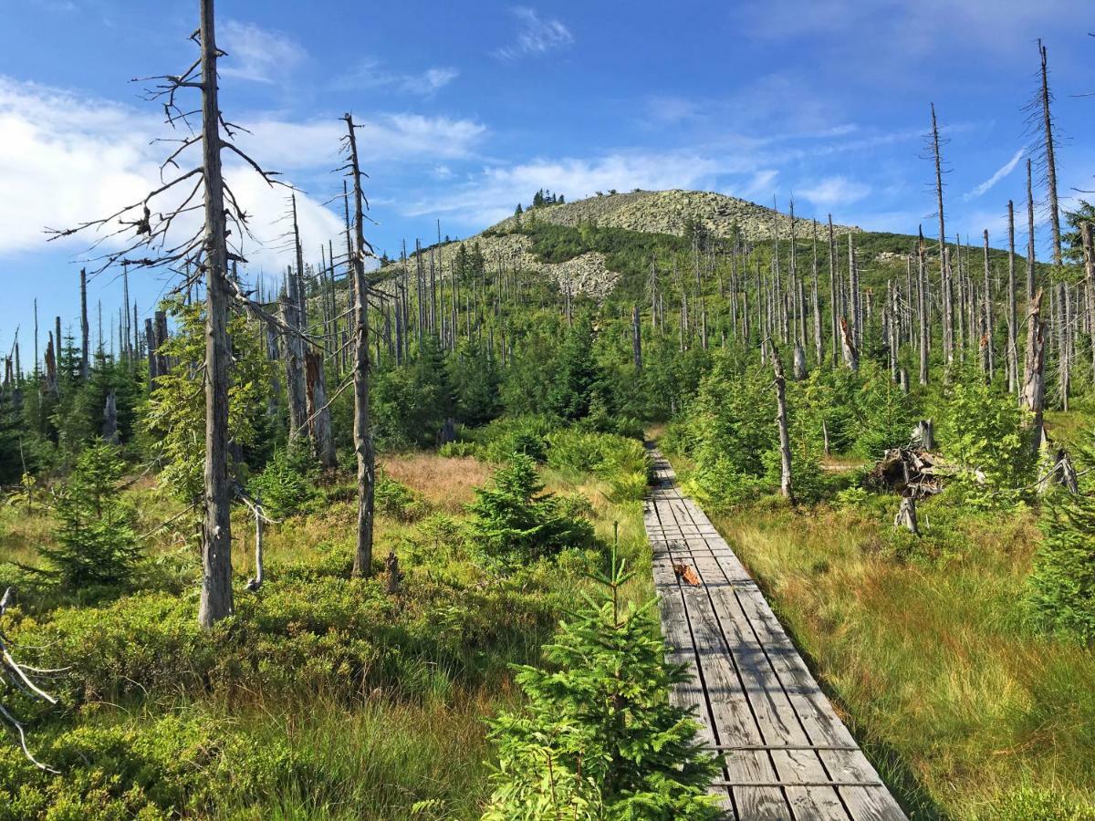 Ferienwohnung Fernblick Neukirchen vorm Wald エクステリア 写真