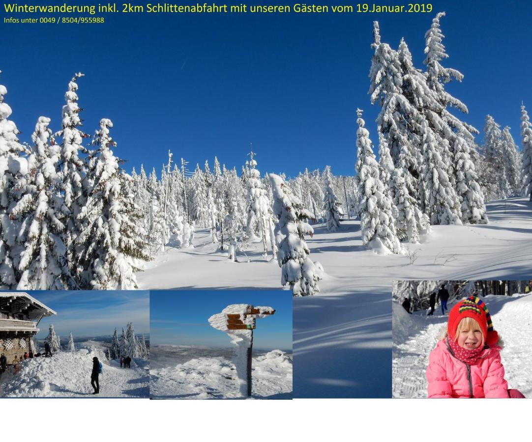 Ferienwohnung Fernblick Neukirchen vorm Wald エクステリア 写真